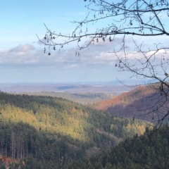 Hahnenklee Ferienpark 136 - Bild 11