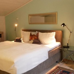 Ferienwohnung Felix Braunlage - Bild 3