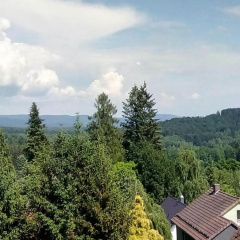Apartment Jagdschlosschen, Bad Sachsa - Bild 11