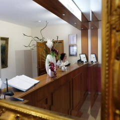 Romantica Hotel Blauer Hecht - Bild 14