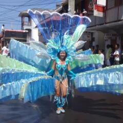 Joy's Apartment in Roseau, Dominica from 71$, photos, reviews - zenhotels.com entertainment