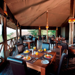 Impala Ecolodge thumbnail 18