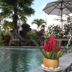 Villa JJ and Spa Ubud - Bild 11