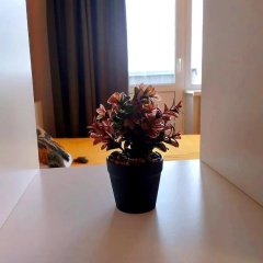 Номера 8