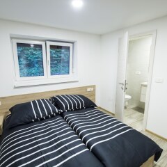 Guesthouse Urša in Preddvor, Slovenia from 69$, photos, reviews - zenhotels.com photo 35