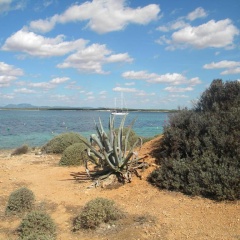 Holiday beach homes Romaní II - Bild 7