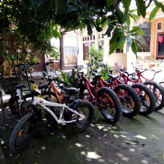 Gili Beach Wind - Bild 10