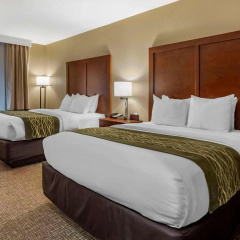 Comfort Inn & Suites Pittsburgh South thumbnail 4