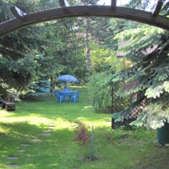 Ferienbungalow Koch - Bild 1