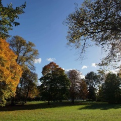 Landhaus Bode - Bild 8