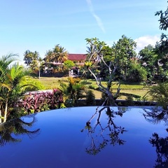 Medewi Beach View Villa - Bild 17