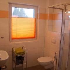 Zaunkönig 1. - Bild 10