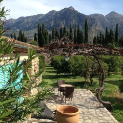 Finca Cas Sant - Bild 17