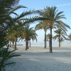BLUESEA Mediodia - Bild 23