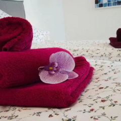 Strandlust - Anspruchsvolle Ferienwohnung - Bild 6