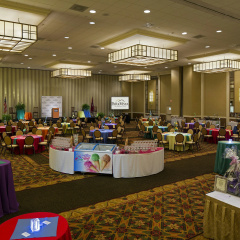 The Park Vista - a DoubleTree by Hilton Hotel - Gatlinburg thumbnail 20