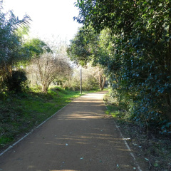 Sweethome Garonne thumbnail 2