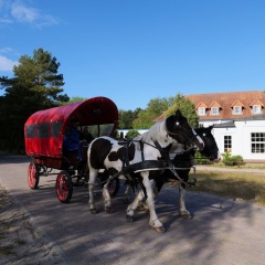 Hotel Heiderose - Bild 13