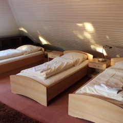 Apartments in Hemmingen - Bild 1