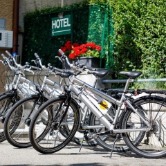 Hotel Jardin - Bild 11