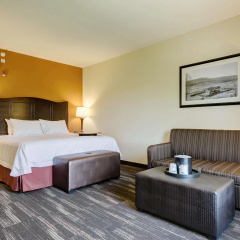 Hampton Inn Poplar Bluff thumbnail 6