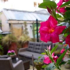 Hotel Jupiter - Bild 23
