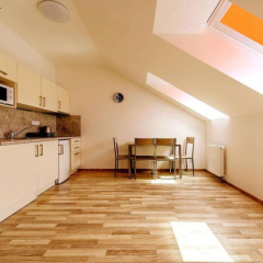 Hotel Otakar - Bild 20