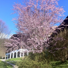 Berghotel Rehlegg - Bild 20