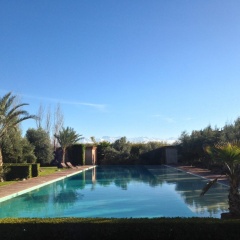 Manzil La Tortue - Bild 13