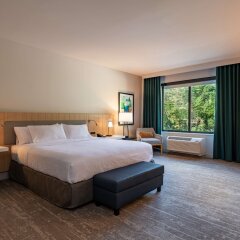 Hilton Garden Inn Boston Canton in Canton, United States of America from 247$, photos, reviews - zenhotels.com photo 7