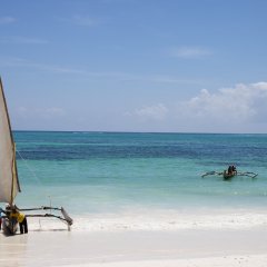 Bluebay Beach Resort And Spa in Kiwengwa, Tanzania from 335$, photos, reviews - zenhotels.com beach photo 2