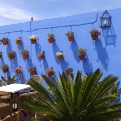 Hotel Murillo - Bild 20