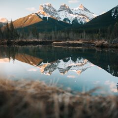 Basecamp Suites Canmore in Canmore, Canada from 194$, photos, reviews - zenhotels.com photo 19
