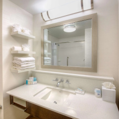 Hampton Inn & Suites Dallas/Plano-East thumbnail 8