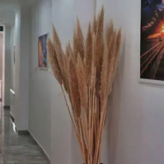 Agva Gunisigi Otel thumbnail 12