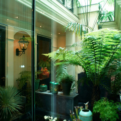 Hotel Estheréa - Bild 19