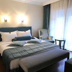 Tria Elegance - Bild 2