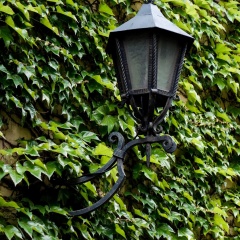 Tulip Inn Vienna Thringer Hof - Bild 12
