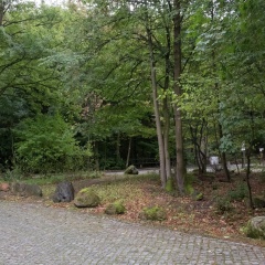 Ferienwohnung im Herzen Ilsenburgs - Bild 12