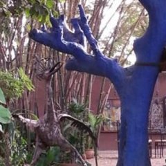 Le Karite Bleu in Ouagadougou, Burkina Faso from 165$, photos, reviews - zenhotels.com photo 3