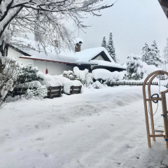 Sweet Alpen Home - Bild 14