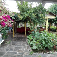 Rosemary Pansiyon - Bild 13