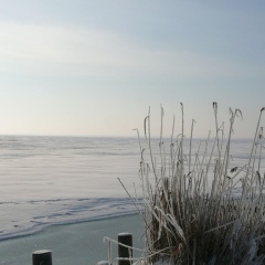 Cheerful Apartment in Wilhelmshof Usedom near Baltic Sea - Bild 10