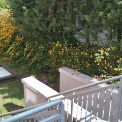 Hotel Arheilger Hof - Bild 15