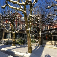 Unique Hotel Innere Enge - Bild 9