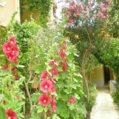 Hotel Marin - All Inclusive - Bild 12