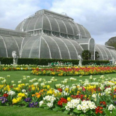 Kew Studios and Rooms - Bild 14