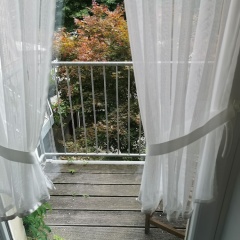 Hotel Winneburg - Bild 7