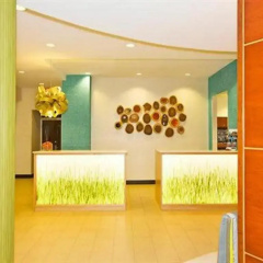 Springhill Suites by Marriott Pittsburgh Mt. Lebanon thumbnail 4