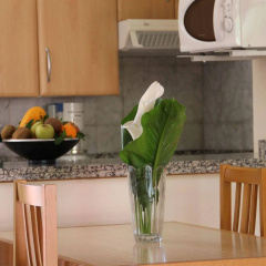 Apartamentos Marola Park thumbnail 27